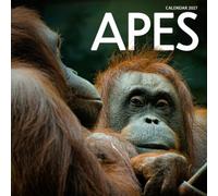 Apes Calendar 2027