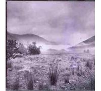 Apes, Pigs & Spacemen - Snapshot