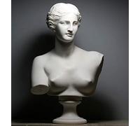 Aphrodite Goddess Venus de Milo Busto Testa Greco Cast Marble Scultura 53 cm