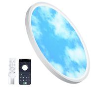 Aphyni Plafoniera LED Soffitto Moderna 33W Ø40cm,Design unico di cielo blu e nuvole bianche,Dimmerabile Facile da Installare Lampada da Soffitto 3000K-6500K per Camere da Letto,Soggiorno,Balcone