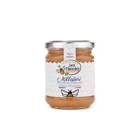 Apicoltura Luca Finocchio, Miele Pregiato Italiano di Tornareccio - Made in Italy (500 g, MILLEFIORI DI MONTAGNA)