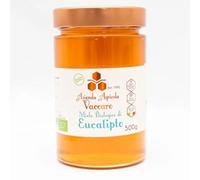 Apicoltura - Miele di Eucalipto 500g | Gusto Aromatico e Forte | Proprietà Respiratorie e Balsamico | Crudo non Pastorizzato | Alta Qualità Artigianale Italiana dalla Basilicata | Made in Italy
