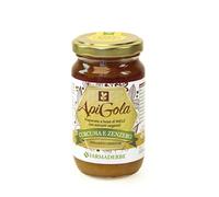 Apigola Miele Curcuma Zenzero 250 G