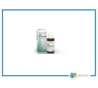 Guna Heel Apis Homaccord Gocce Rimedio Omeopatico Antinfiammatorio 30 ml