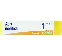 APIS MELLIFICA MK GL BO