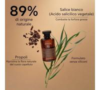 APIVITA ANTI-OILY DANDRUFF SHAMPOO with white willow & propolis