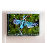 Apkibc Protector de pantalla de TV de Alta protección, Resistente a arañazos y antirreflejos, apto para televisores.(A,55 Inches)