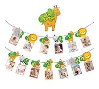 APKOL Ghirlanda di Compleanno 12 Mesi Animale, Festone Primo Compleanno Bimbo 1 Anno bimba, Filo e Ago Inclusi,Bandierine 12 Cartoncini di Carta per Foto Mensili Primo Decorazioni