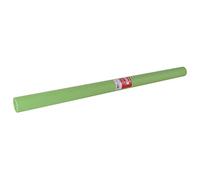Apli 14444 Rotolo Carta Kraft, Verde, 1x25M