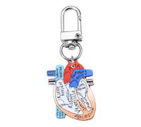 APLudoo Portachiavi portatile con organi umani a forma di cuore anatomia portachiavi leggero anelli accessorio per operatori sanitari regalo insegnante di biologia