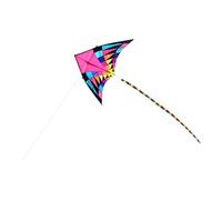 APLVFFZH Aquilone Triangolare con E Resistente Disegno Arcobaleno Vivace Facile da Far Volare Anche per Principianti Adatto a Bambini E Adulti, 160 Cm