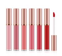 Apooliy Set di lucidalabbra opachi 6pcs per le donne, macchia di velluto altamente pigmentata, lunga durata, trucco per labbra impermeabile, nudo, marrone.