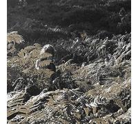 Apostille - Prisoners Of Love And Hate [VINYL]