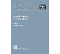 Appalti e lavoro: problemi attuali