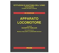 Apparato locomotore