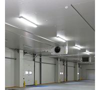 Apparecchio Stagno Lampada Vassoi Ad 4320 Lumen LED Lampada-Cantina 4er Set [EEK: Non valutato]