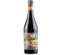 Appassimento rosso Veneto IGT Domini Veneti