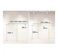 Appendiabiti Espositori per Negozi di Abbigliamento in Metallo, Moderno a Parete Dorato per la Vendita al Dettaglio, Asta Appesa Multiuso Resistente per Riporre l'Armadio