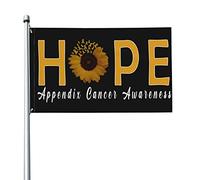 Appendice Bandiera per la consapevolezza del cancro 3x5 piedi Banner Poster Sfondo decorativo Decorazione da parete Poliestere Applicare a giardino Cortile Casa Dindoor Esterno