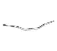 Appendino Ergotec City D25.4 Cruiser Argenté