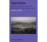 Appennino. Economie, culture e spazi sociali dal Medioevo all'età contemporanea