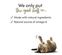 Applaws Petto di Pollo con Agnello in Gelatina 70 GR