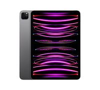 Apple 2022 11" iPad Pro (Wi-Fi, 128 GB) - Space Grau (4. Generation) (Ricondizionato)
