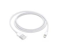 Apple Cavo da Lightning a USB (1 m)