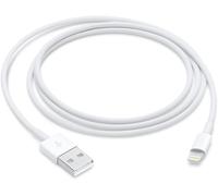 Apple Cavo da lightning a USB 1mt