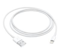 Apple Cavo da lightning a USB 1mt