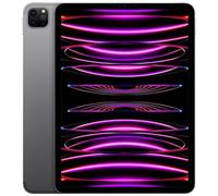 APPLE - iPad Pro 11 (2022) 2 TB 11 pollici Wi-Fi - 5G Grigio Siderale
