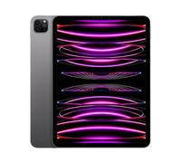 Apple iPad Pro 11 pollici M2 (2022) 4a generazione, Grigio Siderale - 256GB - Wi-Fi - Eccellente