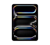 APPLE iPad Pro M4 11" Wi Fi + Cellular 256GB con vetro standard - Argento