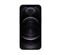 APPLE iPhone 12 Pro Max, 256 GB, Grafite