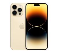 Apple iPhone 14 Pro Max 256Gb Gold