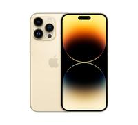 Apple iPhone 14 Pro Max 17 cm (6.7") Doppia SIM iOS 16 5G 512 GB Oro