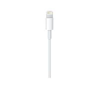 Apple Cavo da lightning a USB 1mt