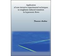 Application of non-intrusive experimental techniques to roughness-induced - ER