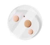 Applicatore per lozione, applicatore per crema solare con manico - trucco in silicone - per donne corpo esfoliante pelle piedi viso gambe bagno