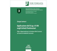 Applicazione del D.Lgs 81/08 negli istituti penitenziari. Sfide e opportunità per la gestione della sicurezza sul lavoro in ambiente carcerario