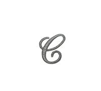 Applicazione Lettera Iniziali Alfabeto Termoadesiva Ricamo Punto Pieno Corsivo Argento Lurex Alta 25 Mm