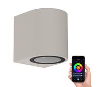 Applique ALSE downlight per esterni grigio alluminio rotondo incl. Smart Home [EEK: F]