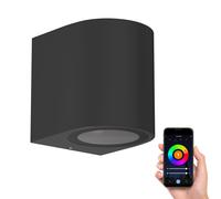 Applique ALSE downlight per esterni in alluminio nero rotondo incl. Smart Home [EEK: F]
