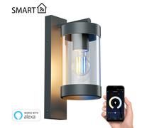 Applique da esterno LAIFA vetro opaco antracite/acciaio inox incl. lampada E27