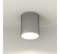 Applique da soffitto Cilindrica PAR30 IP54 in Alluminio e Vetro INOX