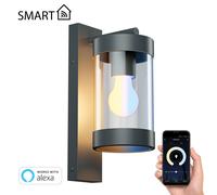 Applique LAIFA antracite opaco rotondo incl. lampada E27 vetro satinato Smart