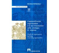 Apprendimento organizzativo