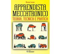 APPRENDISTA MECCATRONICO. TEORIA, TECNICA E PRATICA - CASSANO MASSIMO - Sandit