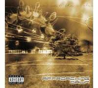 Approaching Dawn - Evolution of Reality