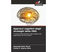 Approcci cognitivi degli strateghi delle ONG: La dinamica della formazione delle strategie nelle organizzazioni del Terzo Settore